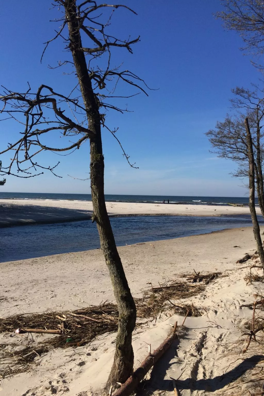 Mit Schwimmbad-Buiten