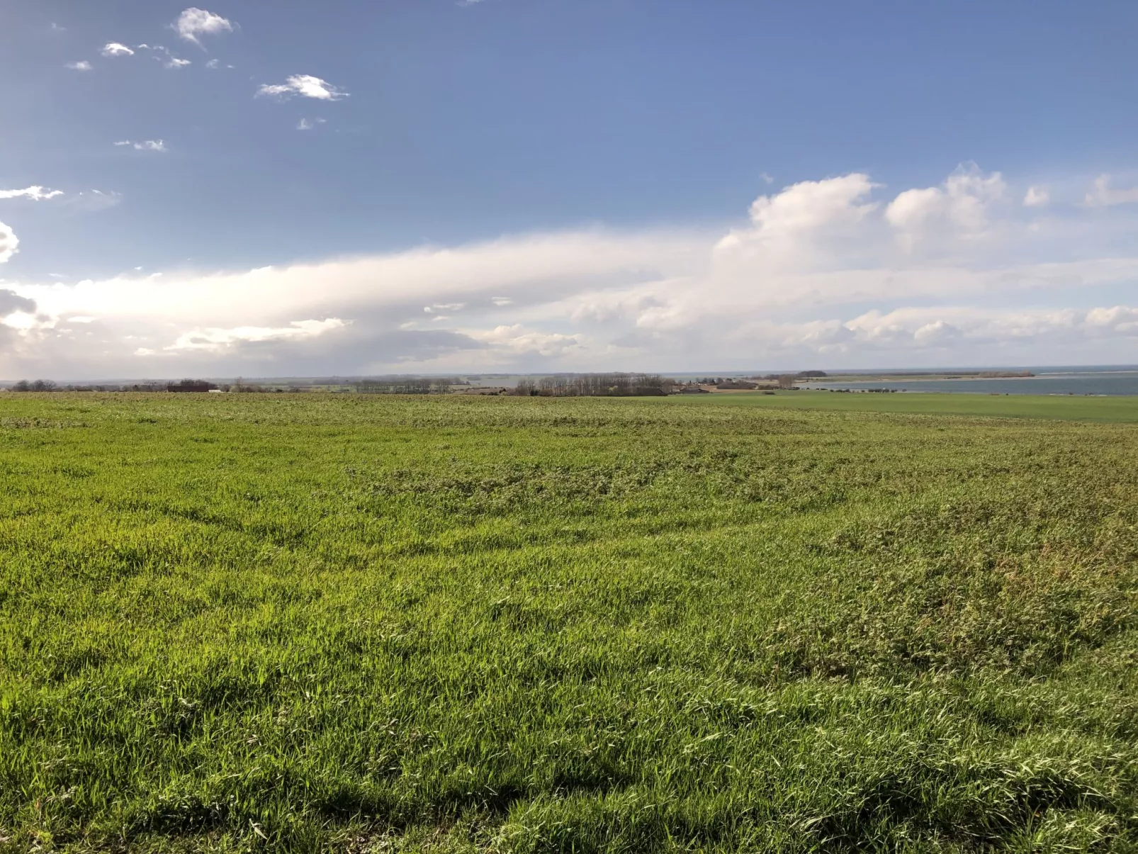 FH Salzhaff-Urlaub-Omgeving