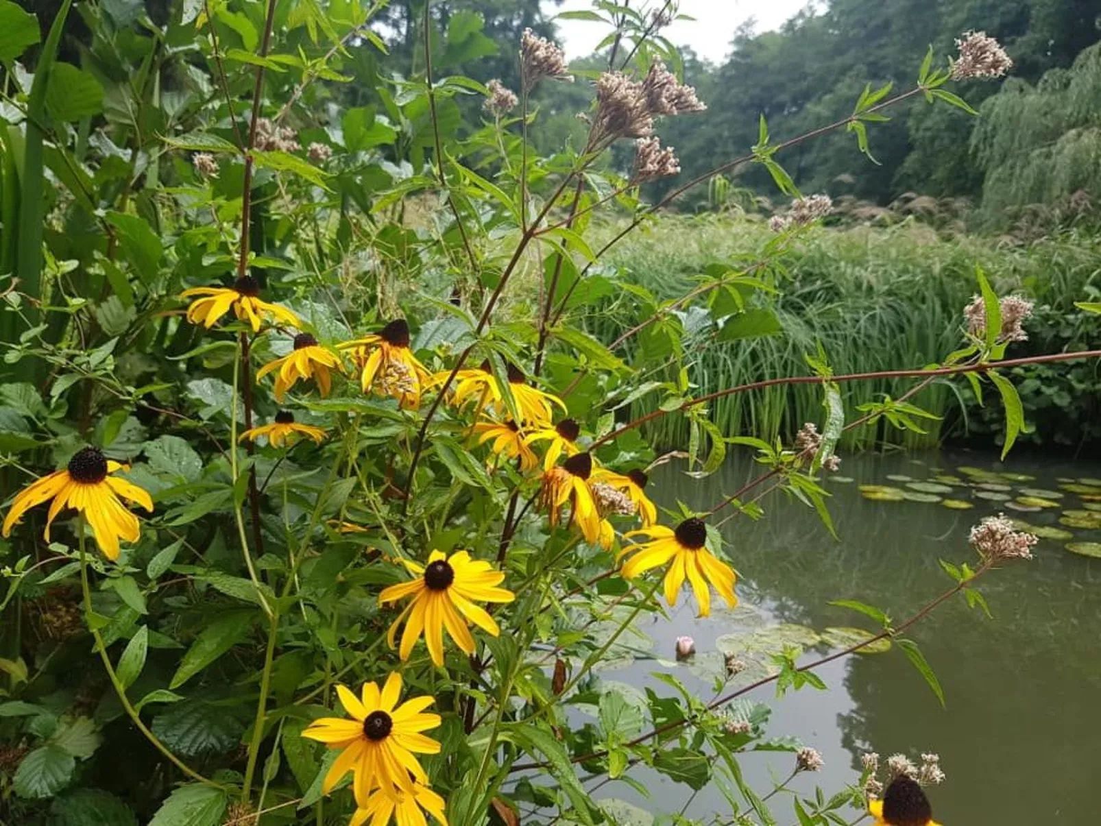 Ferienvilla mit eigener Sauna-Image-tags.info