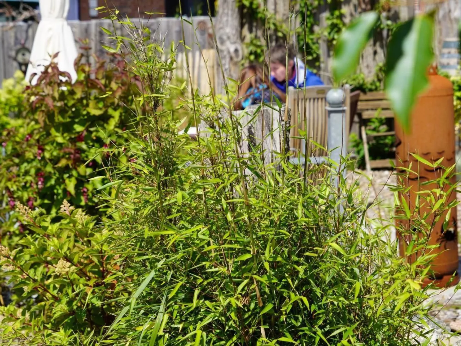 Ruhige Wohnung in Risum mit Garten und Terrasse