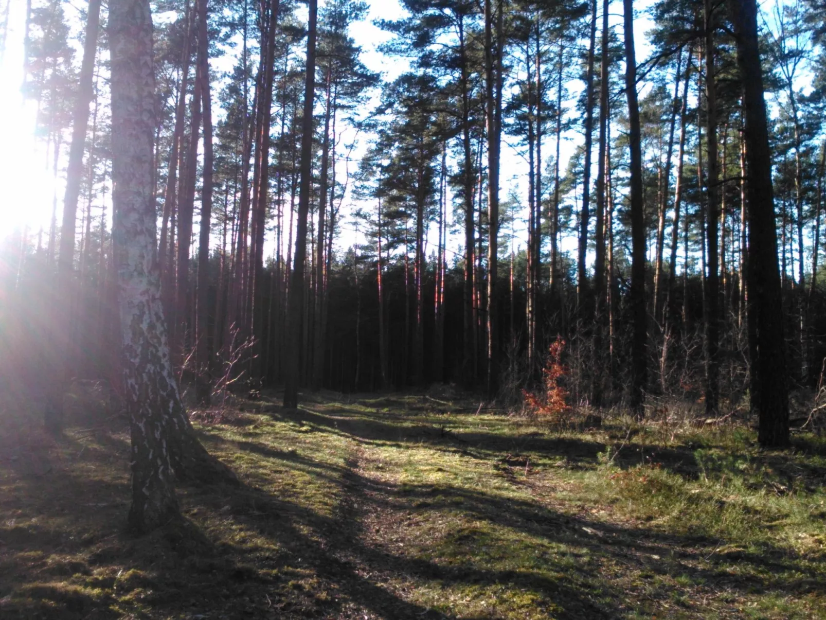 Finnhaus-Image-tags.info