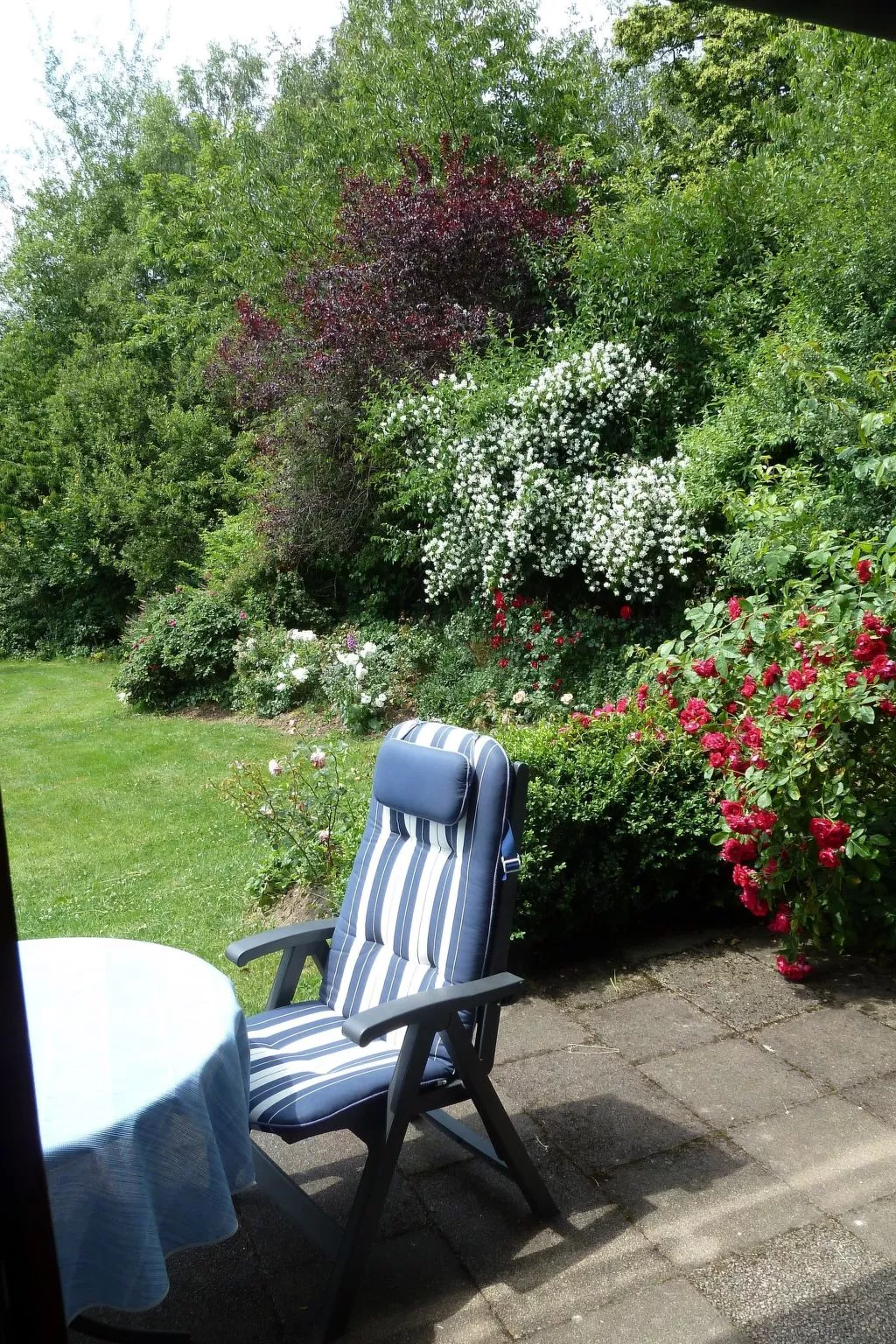 Landhaus Wildfeuer-Buiten