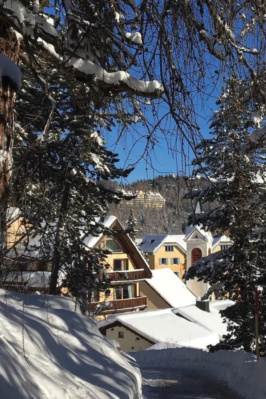 Bindschedler-Image-tags.info