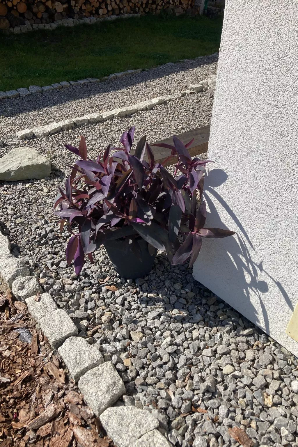 Tor der Berge - Hütte Wolf-Buiten