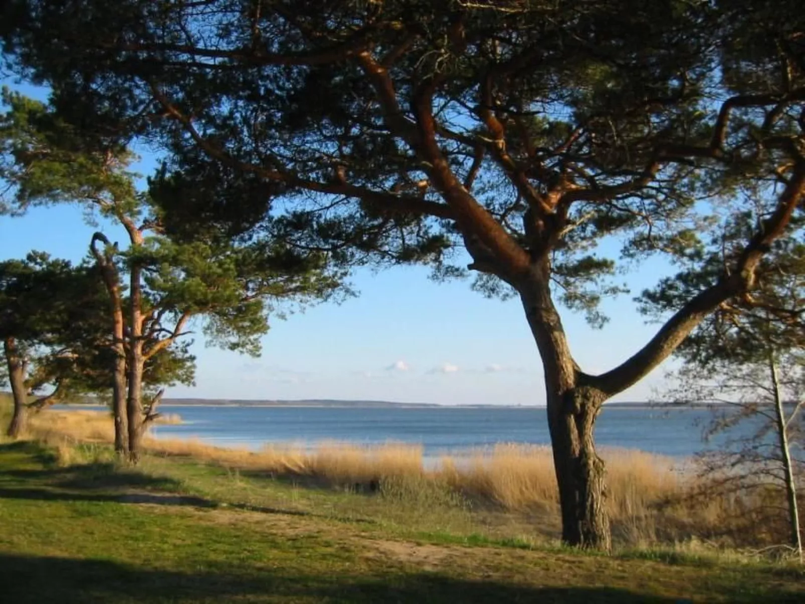Am Buchenhain in Koserow-Buiten