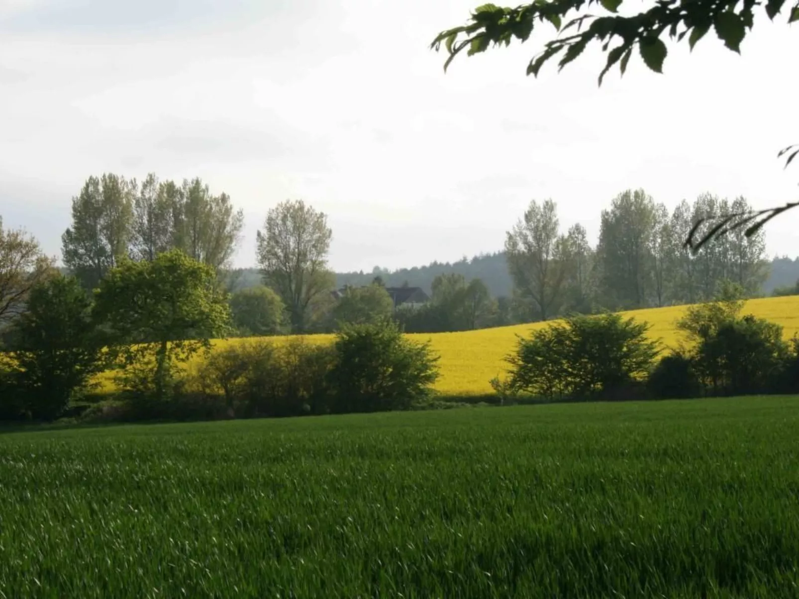 Hof Rodenkrog Fewo 2-Buiten