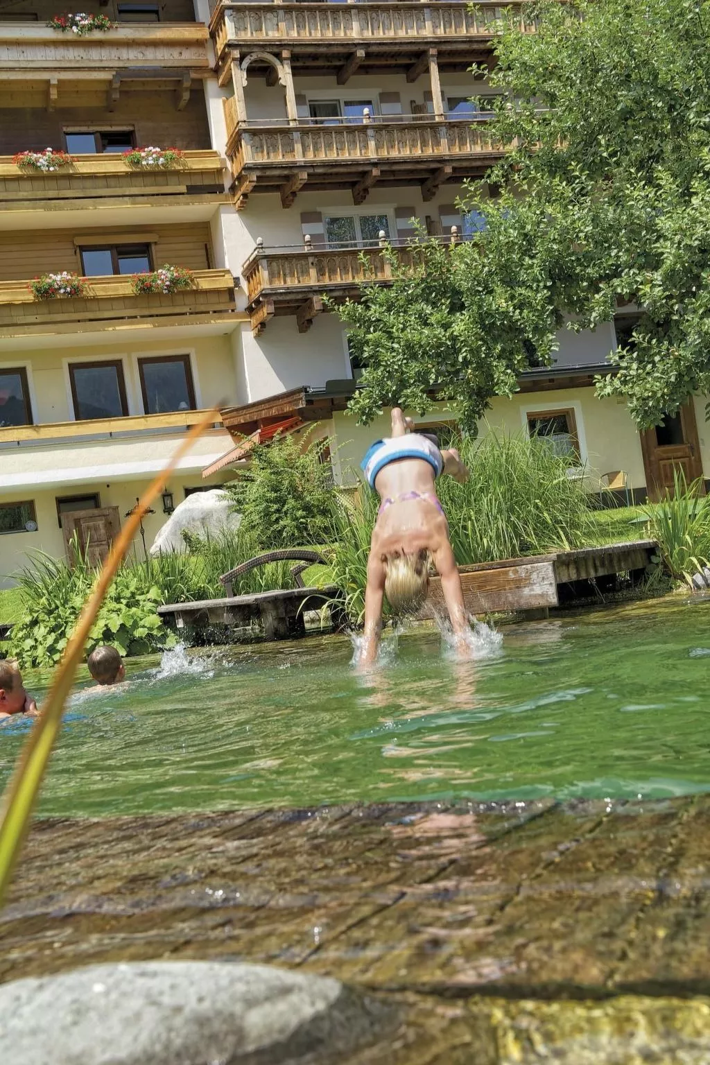 Bio-Haus # 402 - Image-tags.info