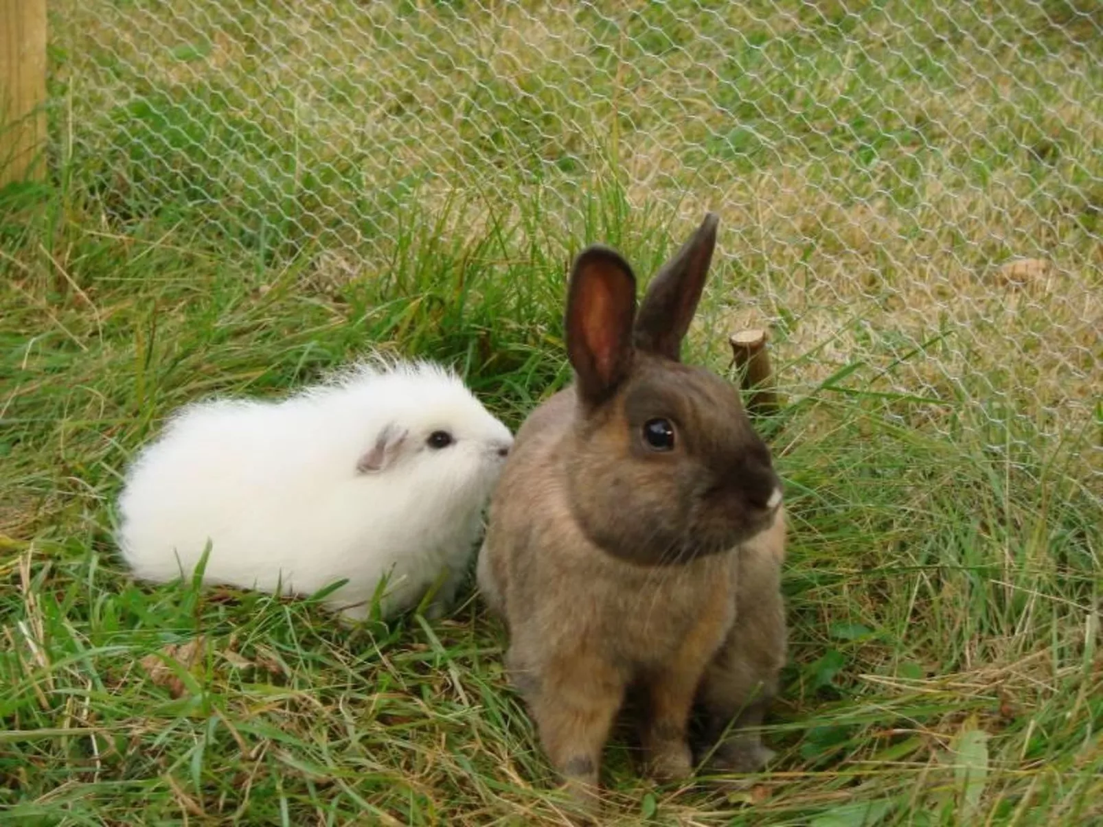 Mit Balkon und Geschirrspülmaschine-Buiten