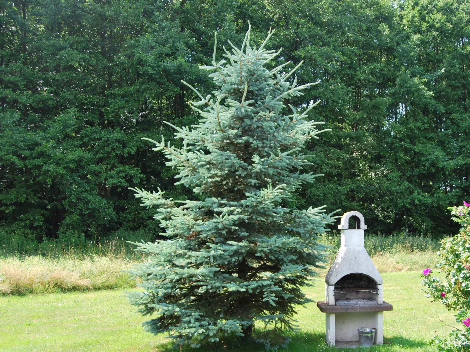 Fewo Stricker 23-Buiten