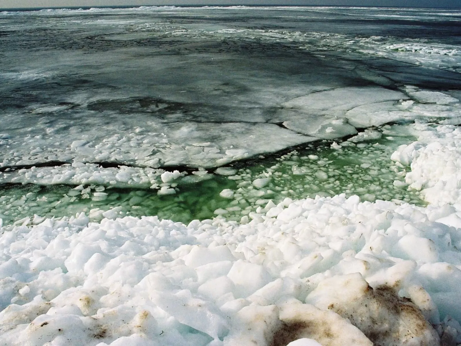 Mit Sauna und Schwimmbadnutzung-Image-tags.info