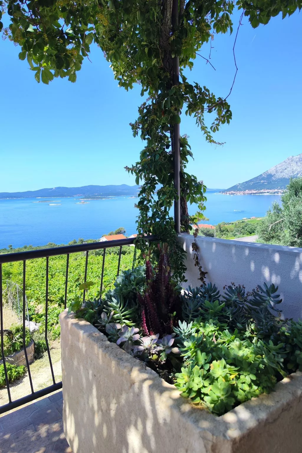 Mit Blick auf das Wasser-Buiten