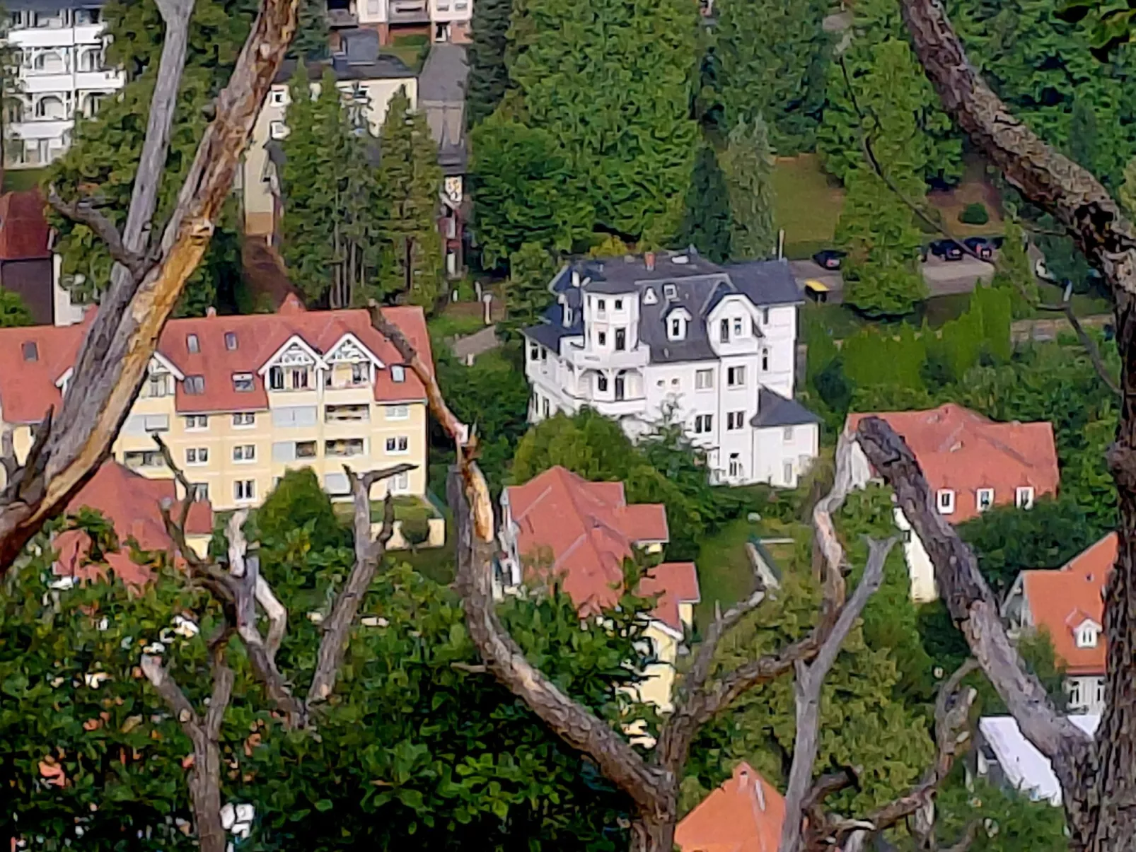 Wanderfalke II-Image-tags.info