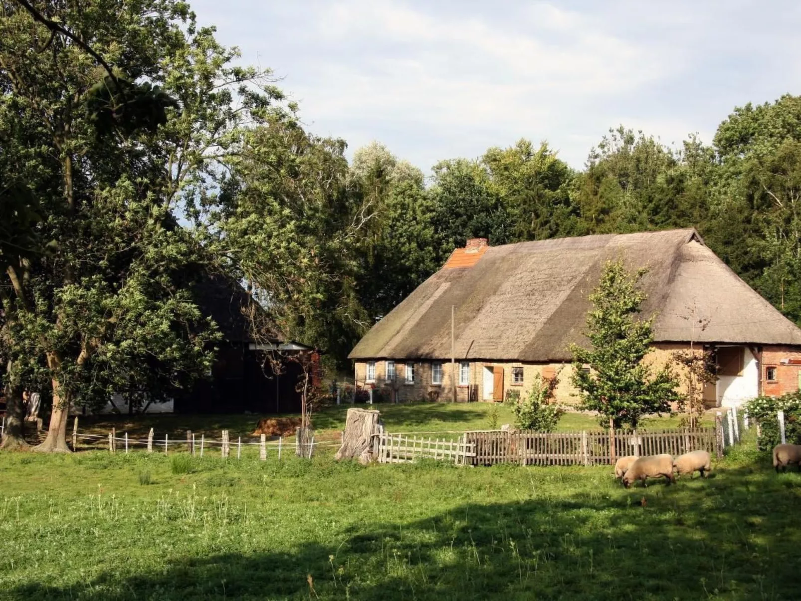 Villa DUXCAAR-Buiten