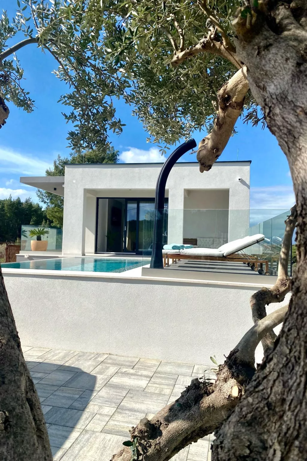 Villa mit beheiztem Infinity-Pool und Massagedüsen-Buiten