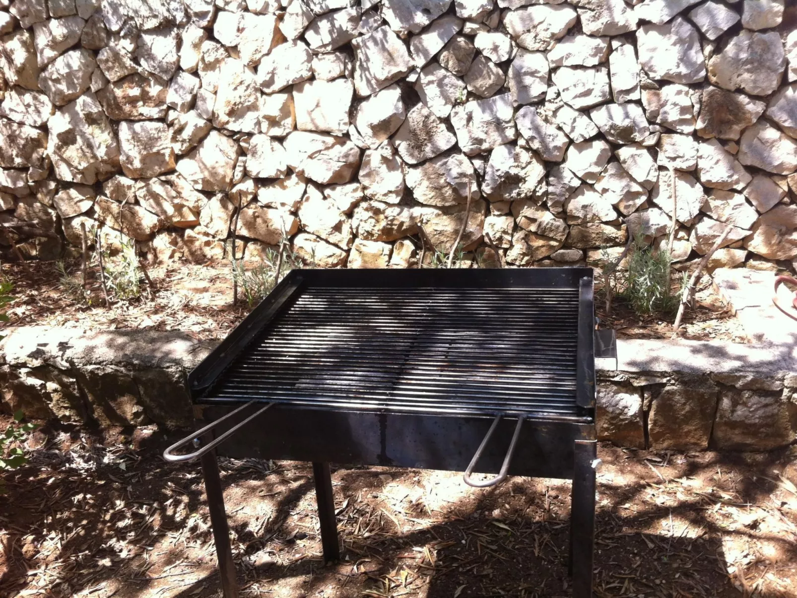 "Mladen" mit Blick auf das Wasser-Buiten