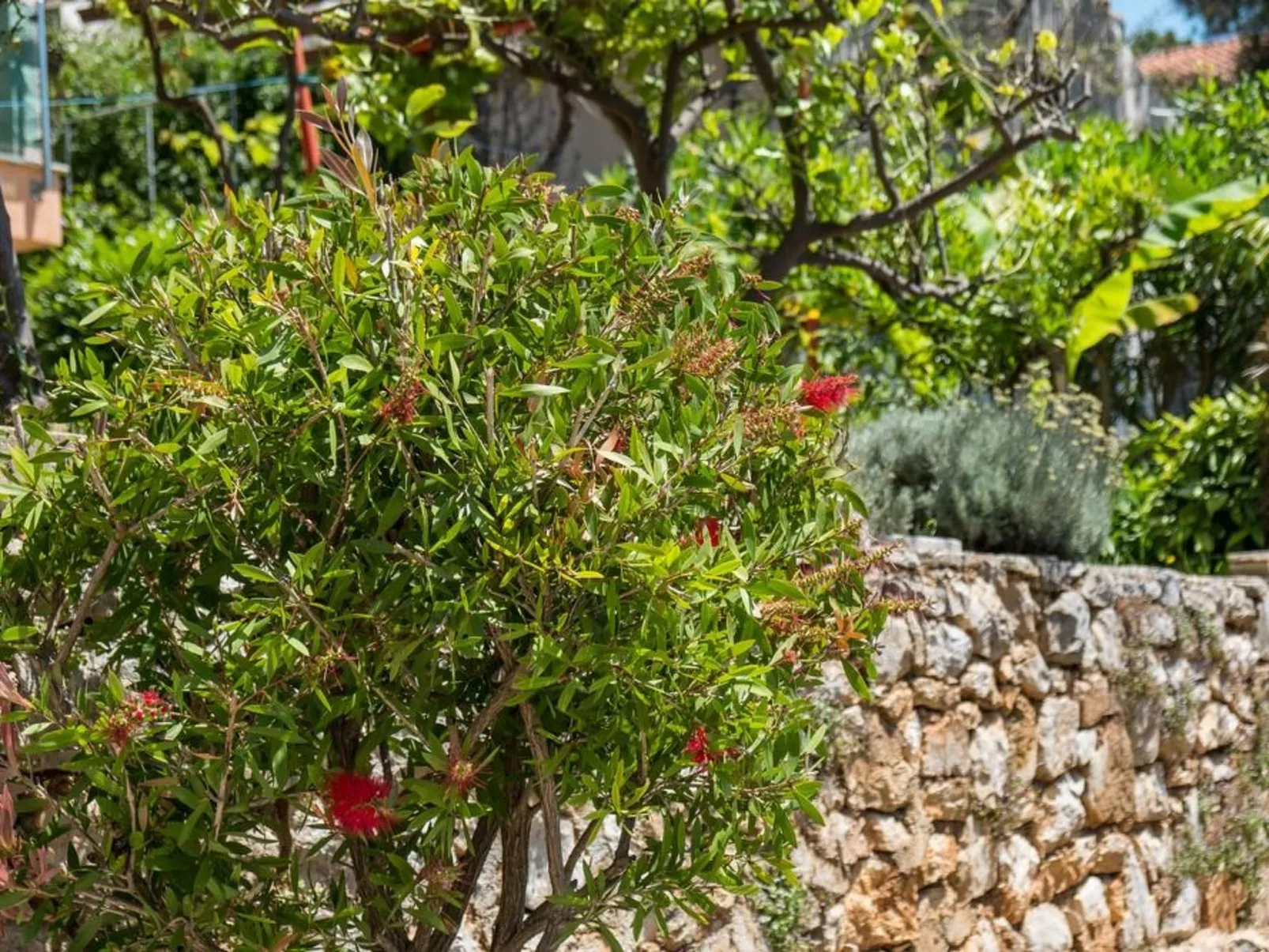 Villa Magnolia – Apartment Magnolia-Buiten