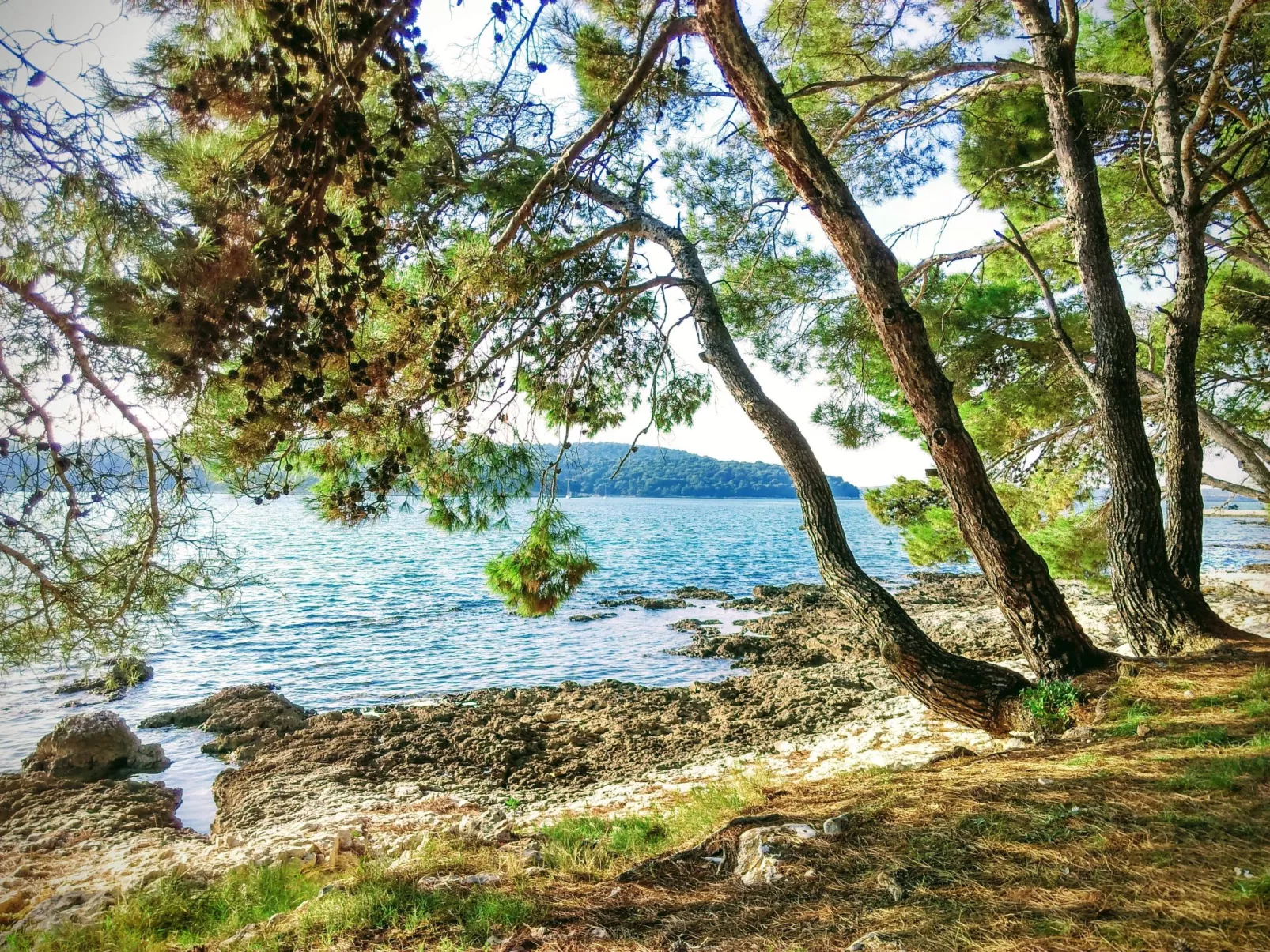 Wunderschöne Ferienwohnung in Ližnjan mit Garten, Grill und Terrasse-Buiten