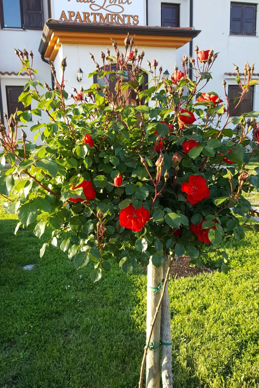 Villa Liet 9.-Buiten