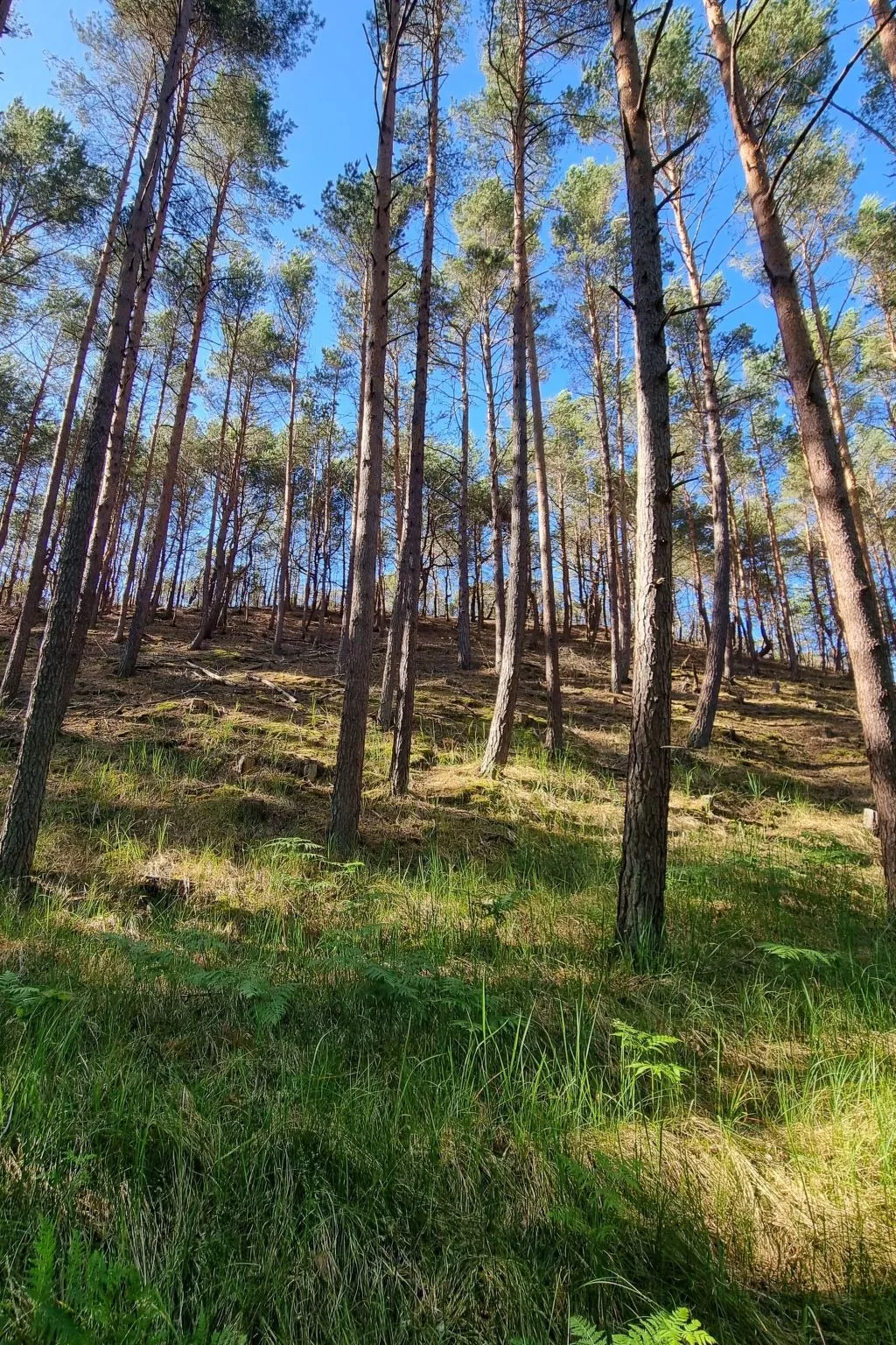 Lublewo21 Ferienhäuser - Buiten