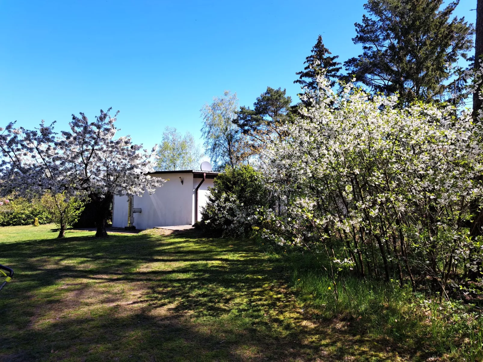 Mit Terrasse mitten im Grünen