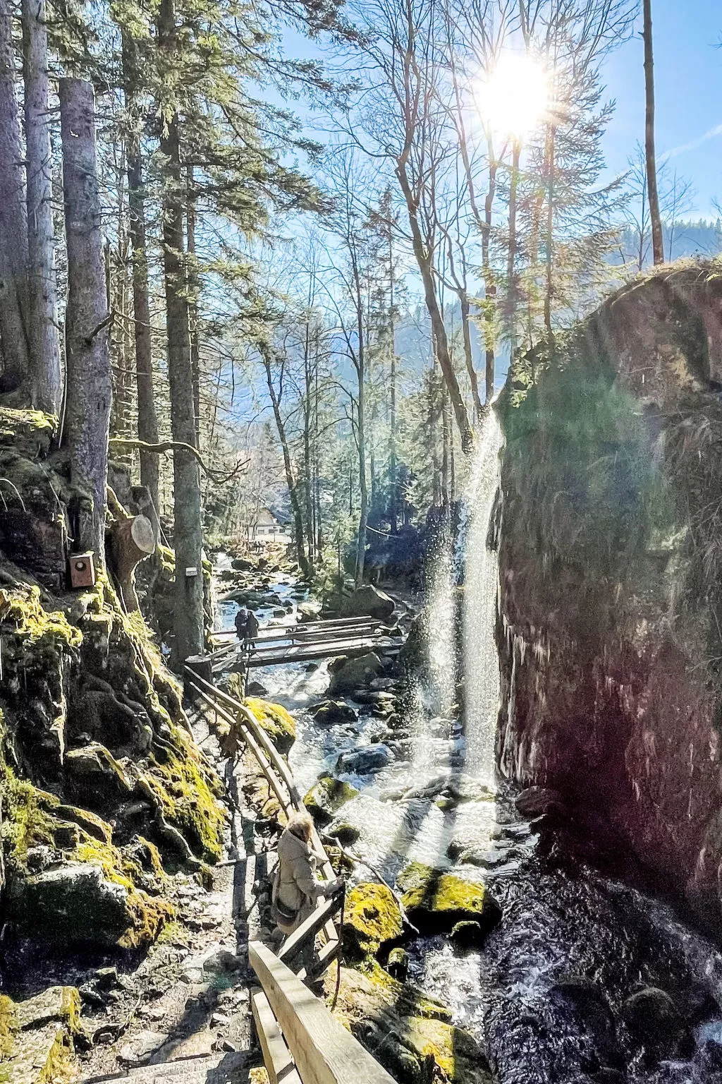 Schwarzwaldhaus St. Blasien, direkt am Bach-Omgeving