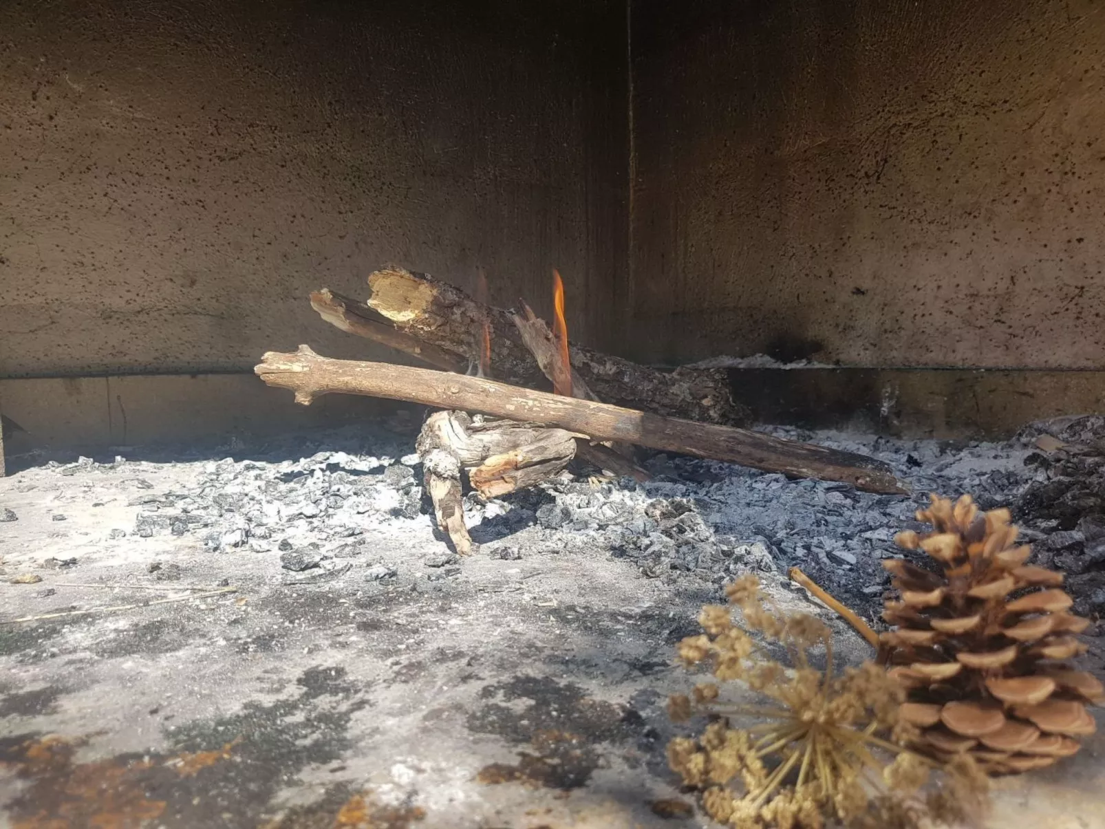 Mit Blick auf das Wasser-Buiten