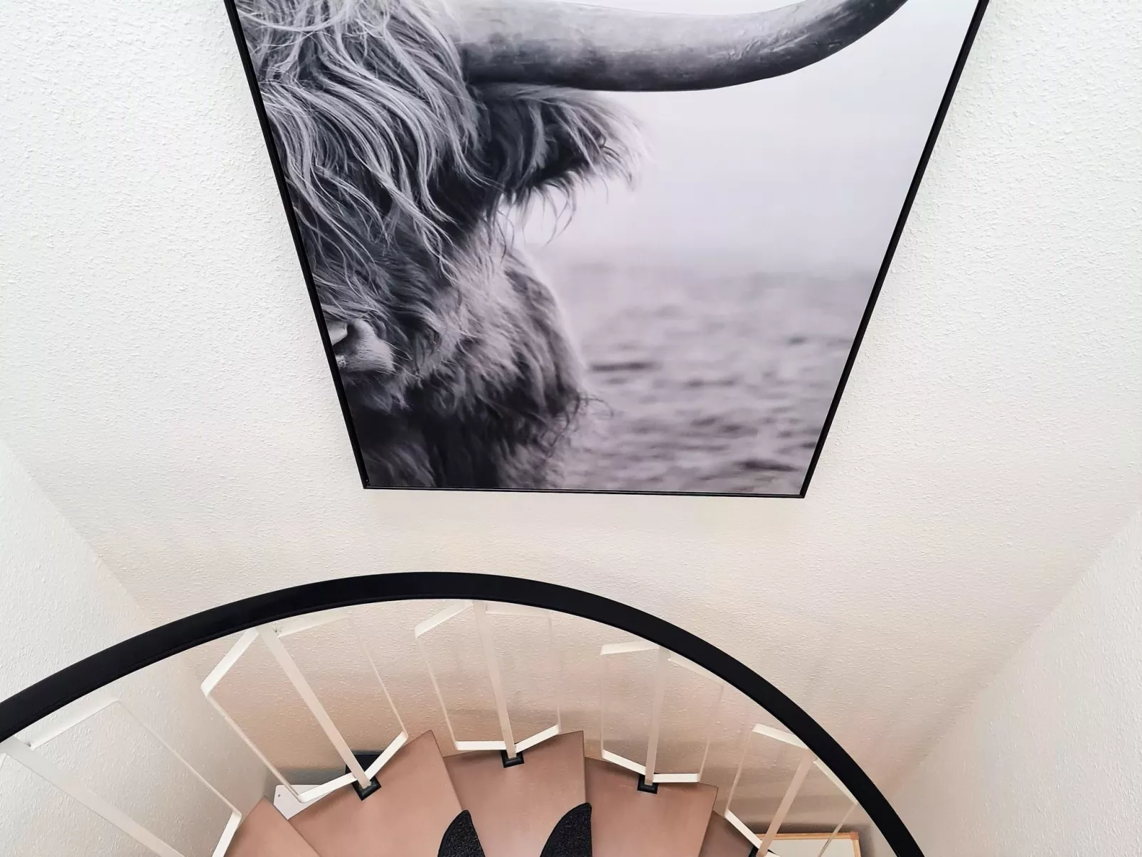 Skoft-Image-tags.info