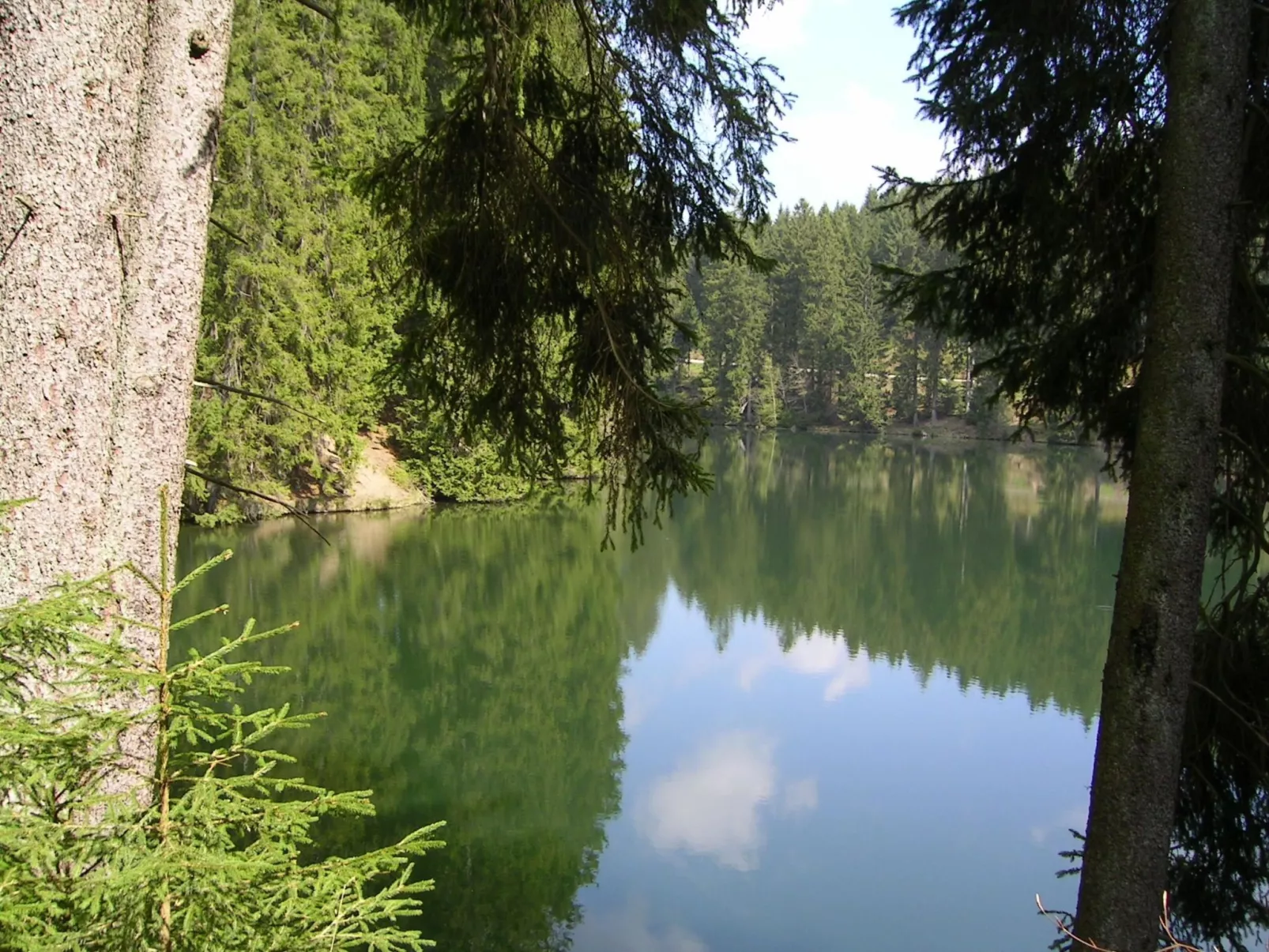 Harz-Haus-Bruns-Image-tags.info