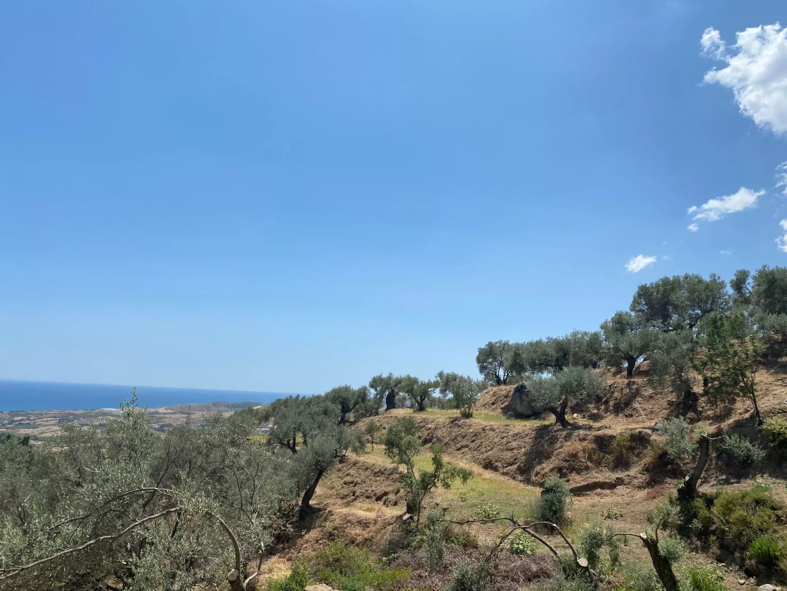 Großes Studio mit Terrasse mit Meerblick-Buiten
