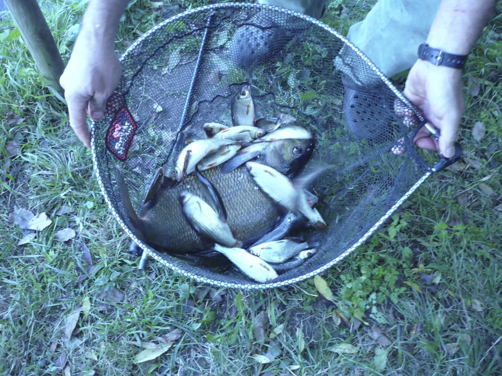 Fachwerkhaus "gitealienor perigord"-Image-tags.info