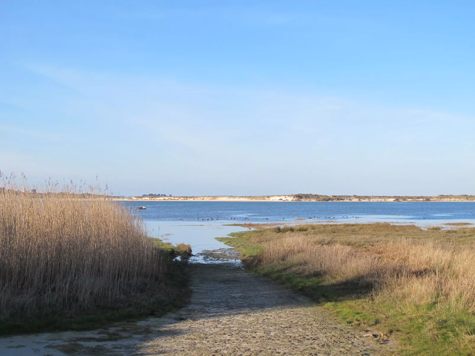 Ty Coz Castel-Omgeving