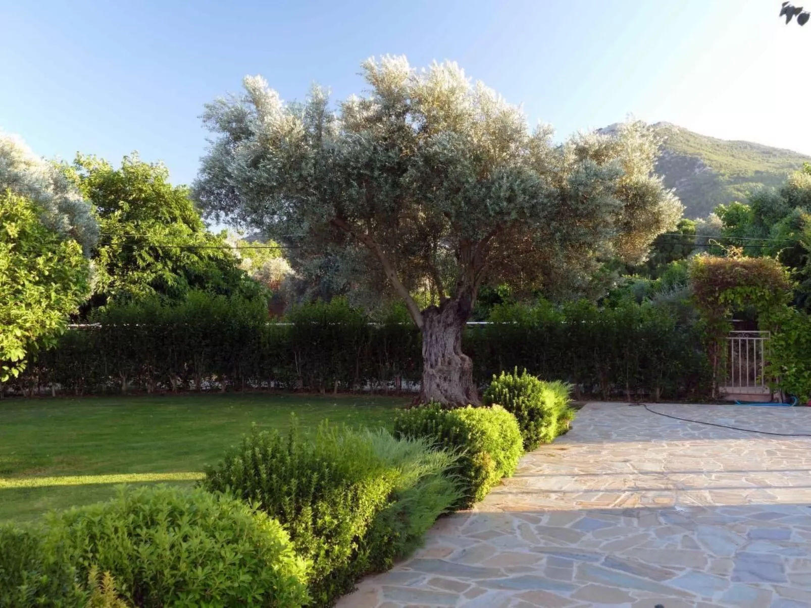 Esperides Ferien-Buiten