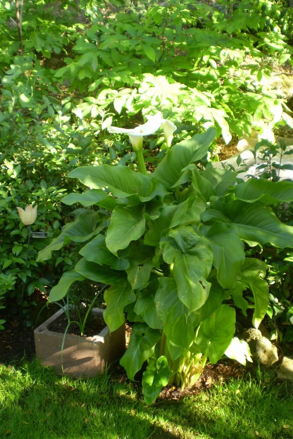 Landgut mit Garten, Grill und Terrasse-Buiten