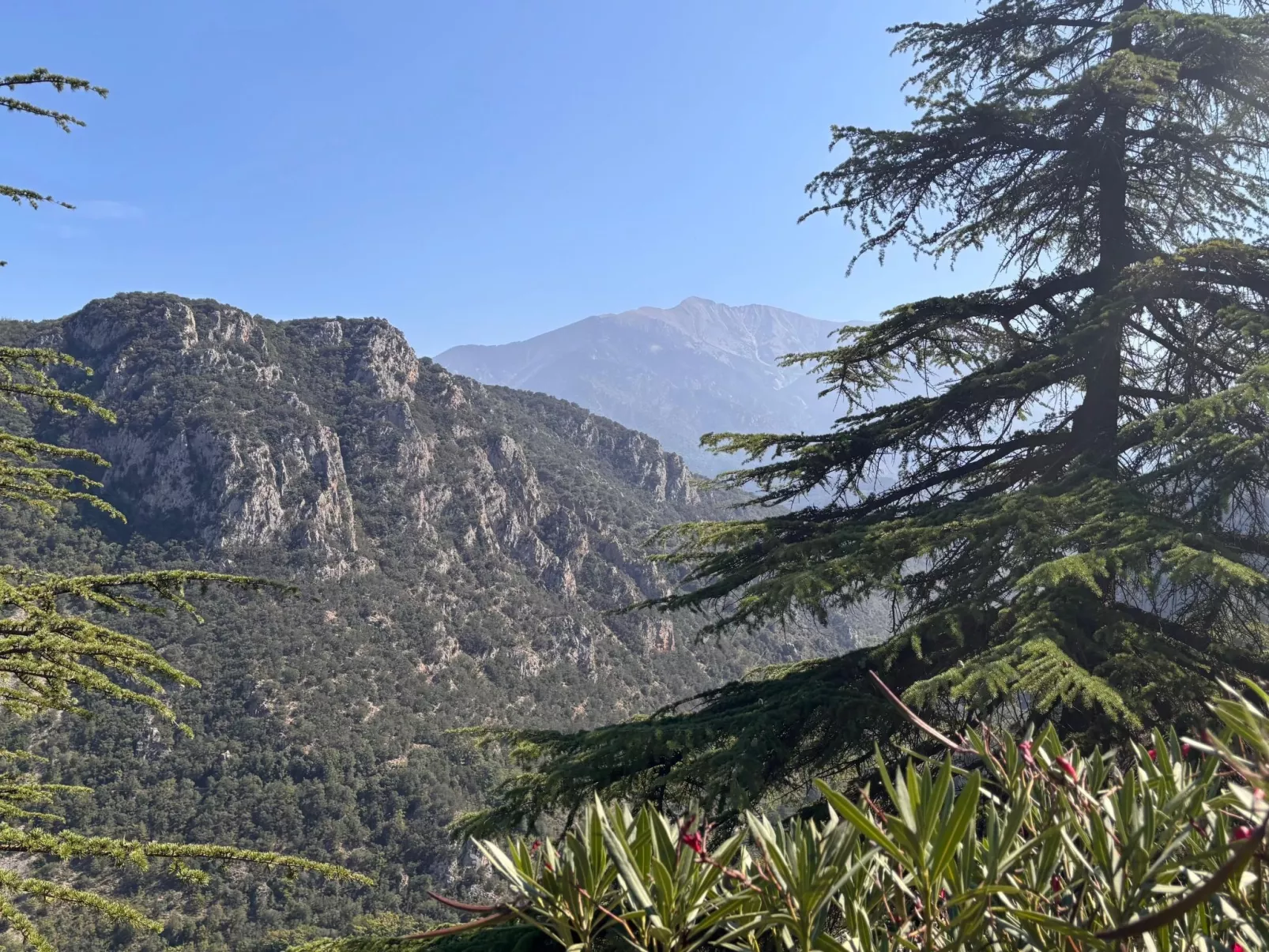 The Olive Retreat-Image-tags.info