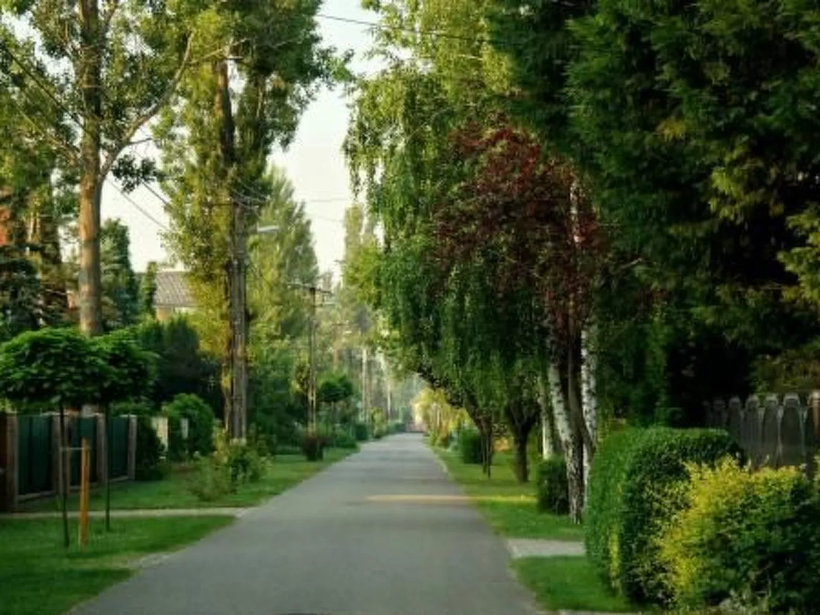 Doppelhaushälfte für sechs Personen mit Terrasse-Buiten