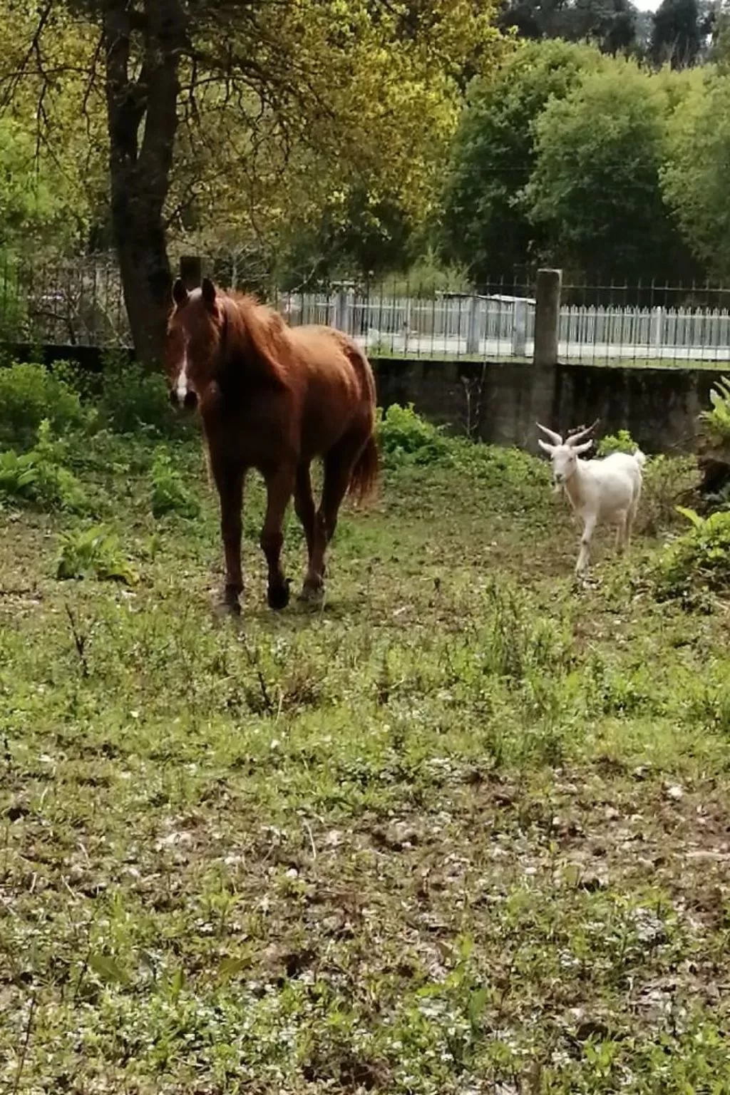 Maison du Moulin in Bauernhof-Image-tags.info