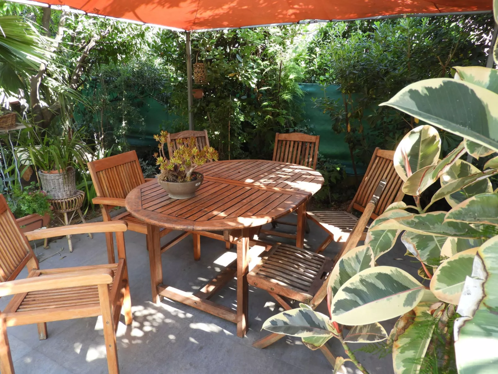 Wohnung "Les roses" auf einem eingemauerten Grundstück-Buiten