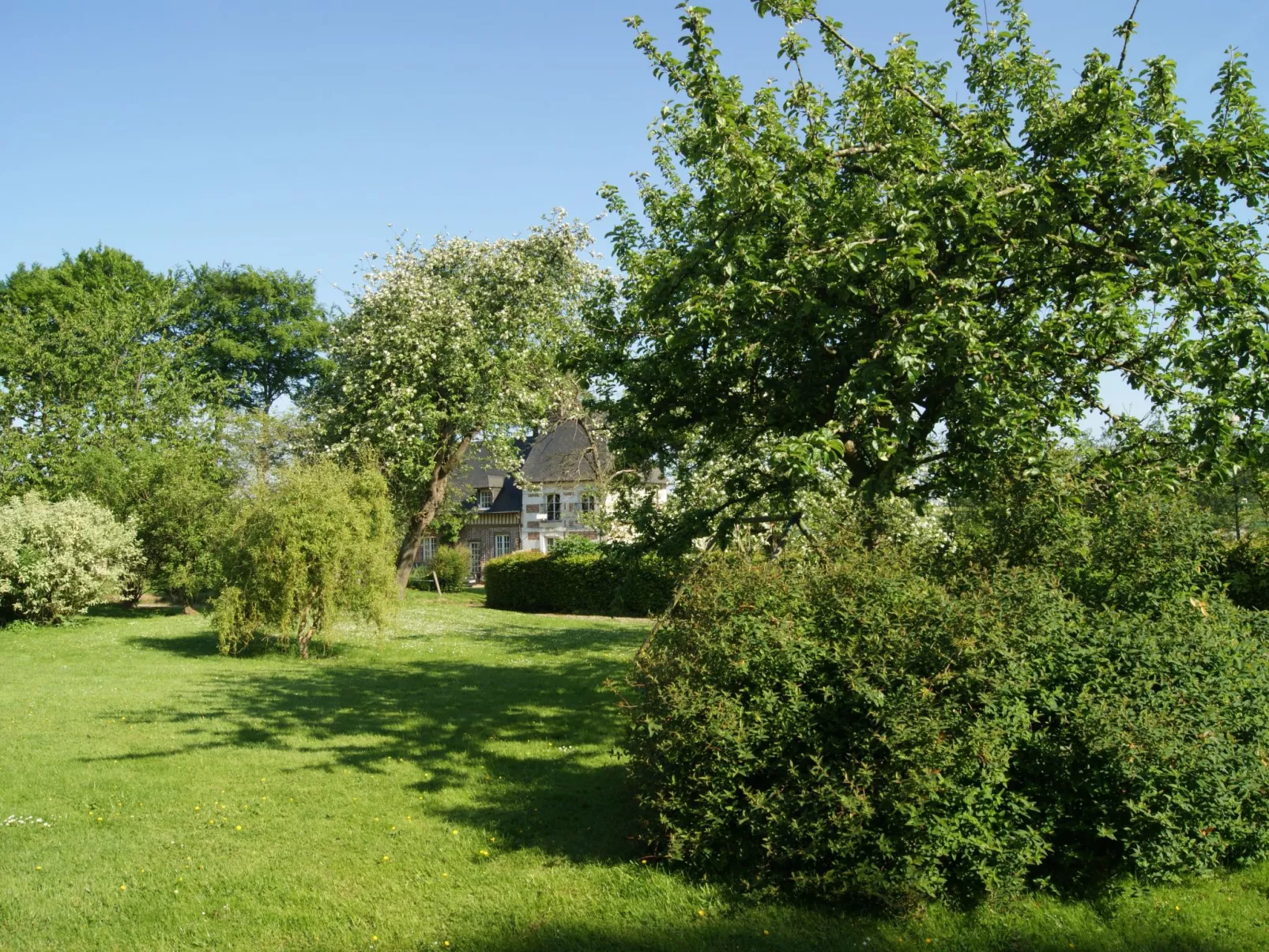 Charmante normannische Ferienwohnung les chataigniers 3 Zimmer-Buiten