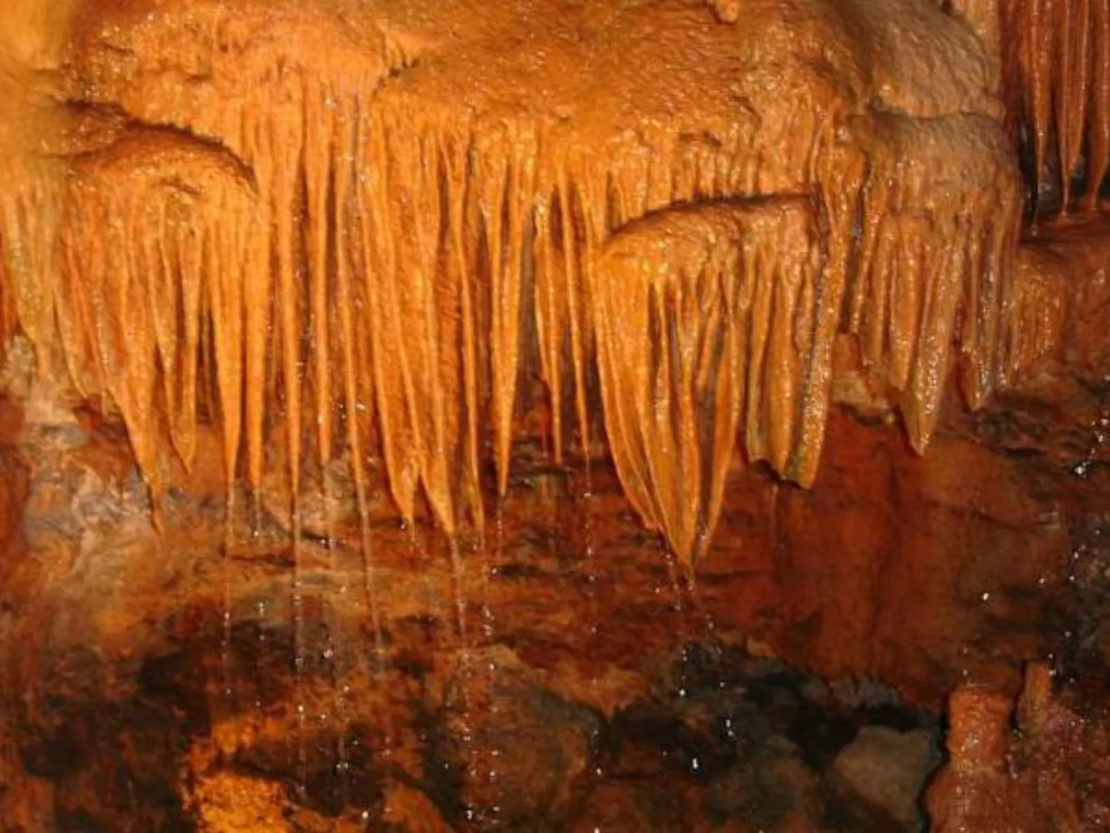 Landhaus "Alcobaca Villa"-Image-tags.info