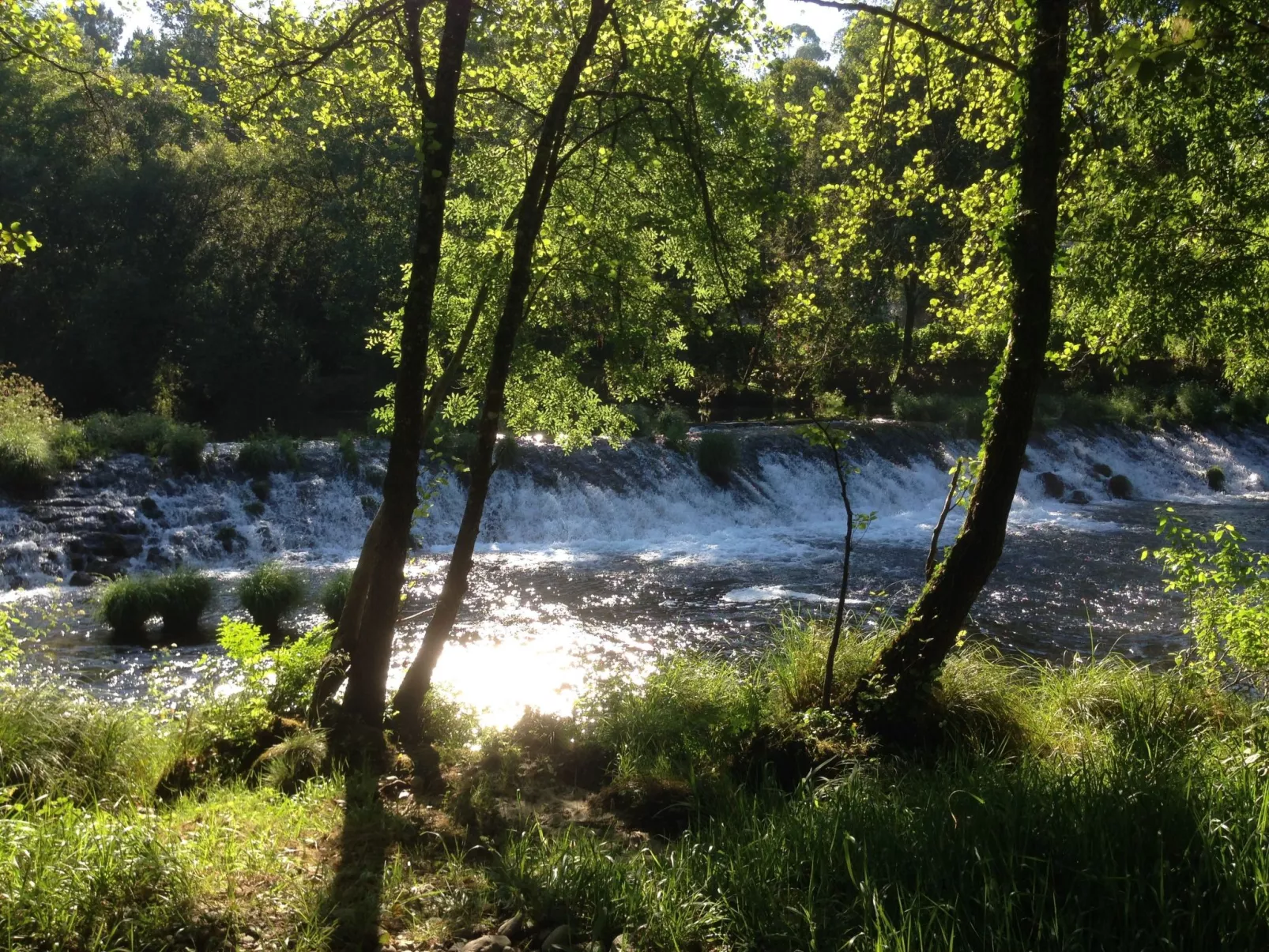 "Großvaters Häuschen" mit Kamin-Buiten