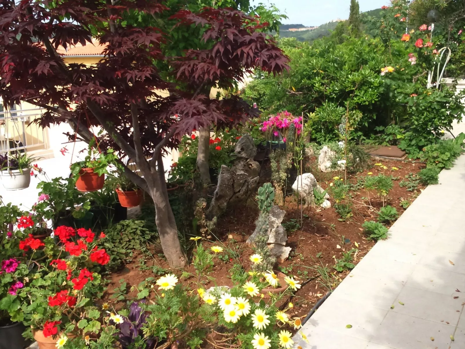 Mimosa,Wohnblock 1-Buiten