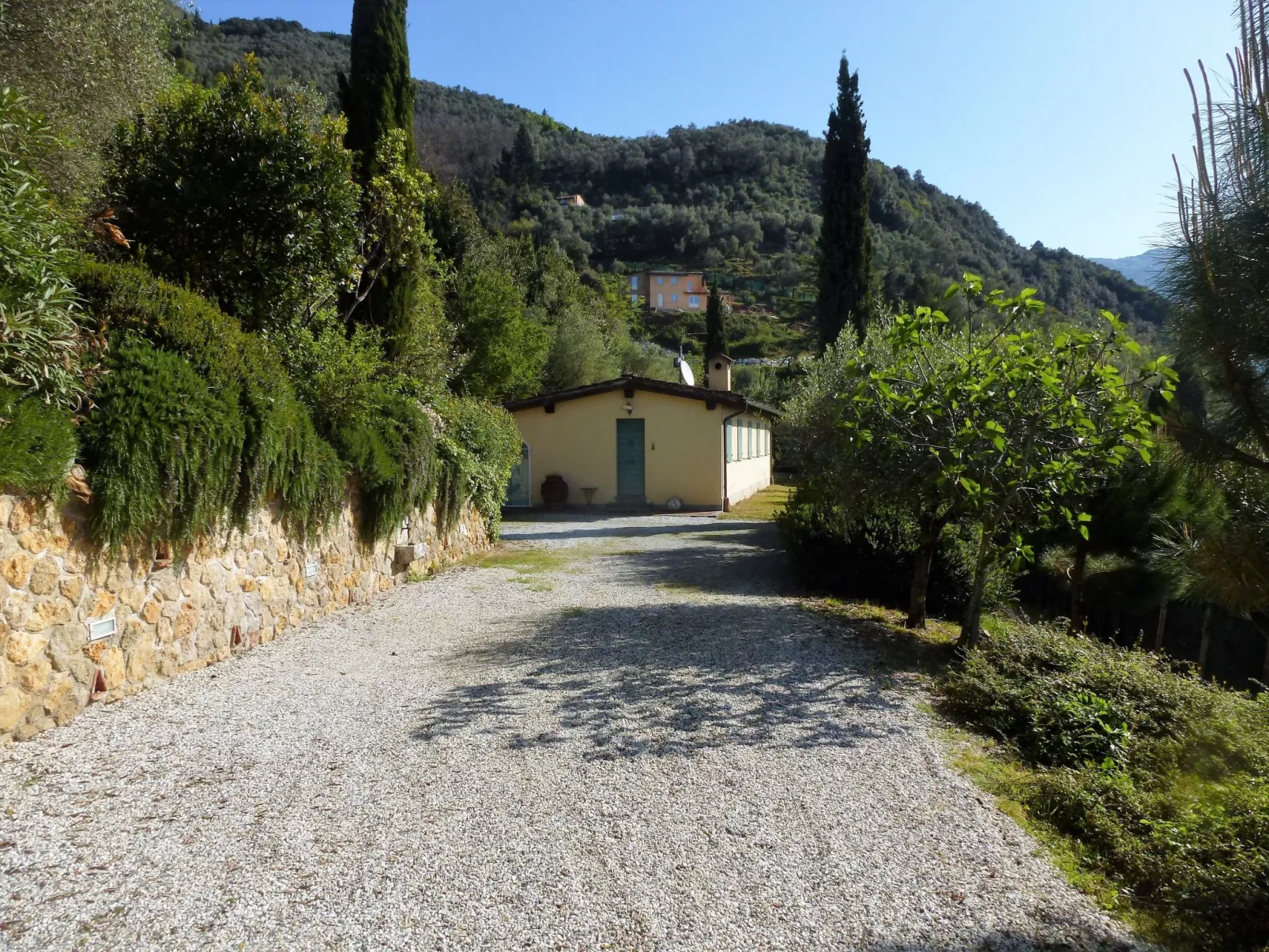 Donagrande-Image-tags.info