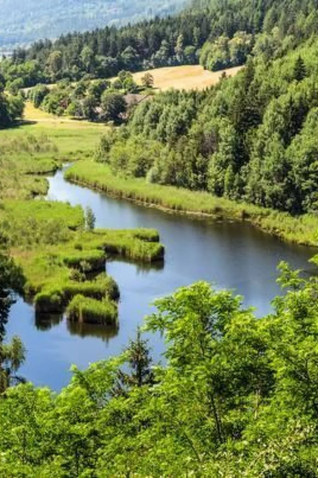 Mit Terrasse auf einem Bauernhof-Buiten