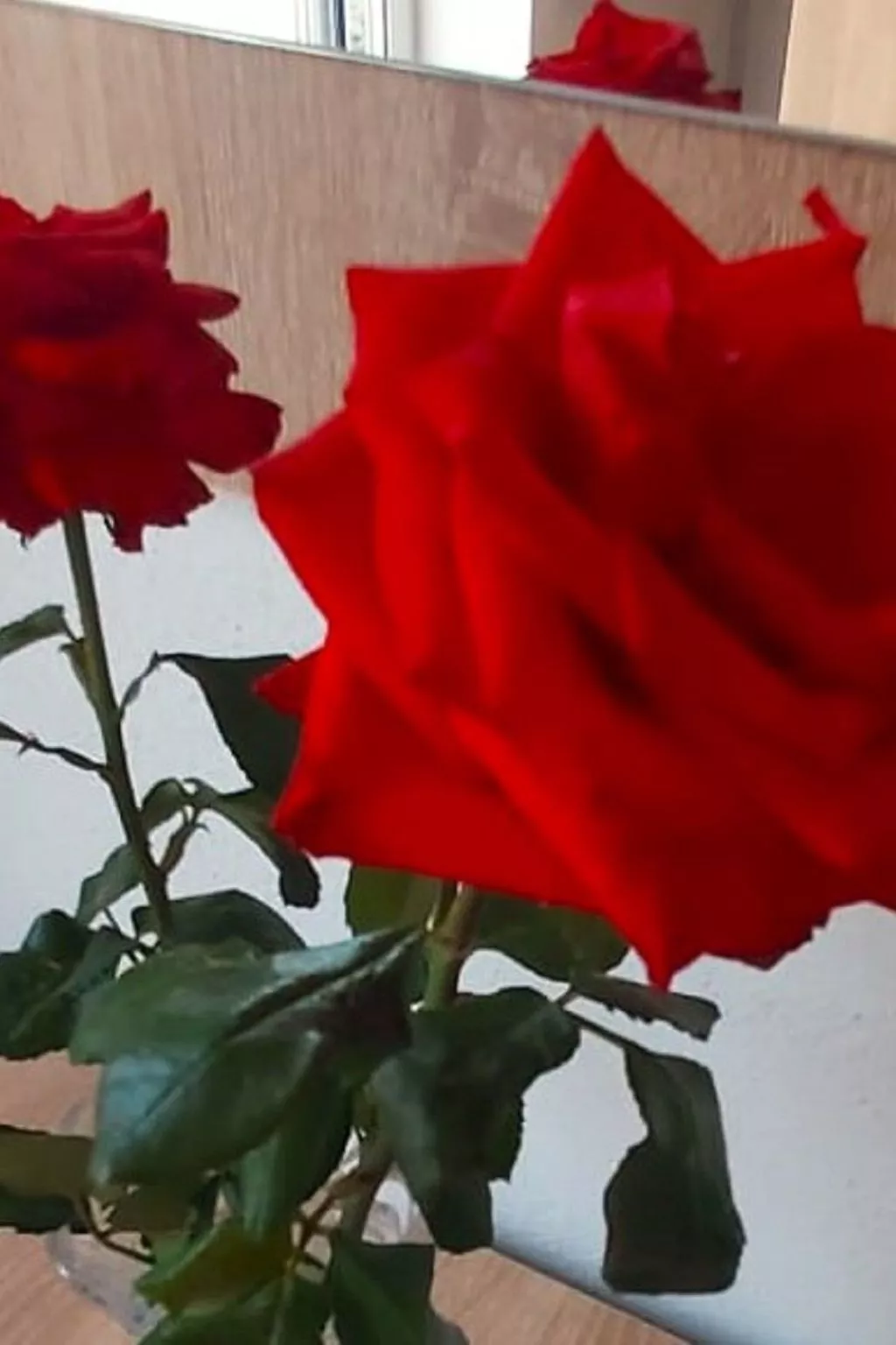 Finca Villa Clara 4-Image-tags.info