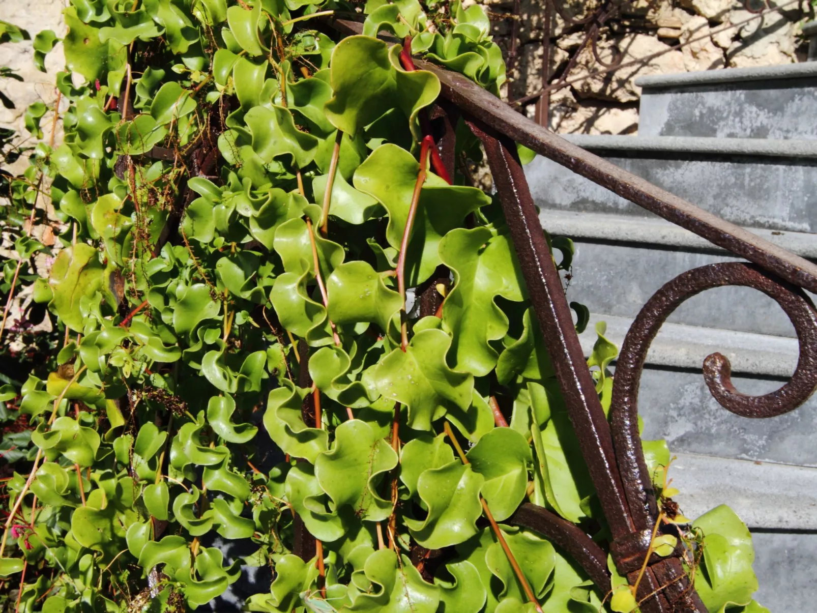 Villa 'La Vecchia Dimora'-Buiten