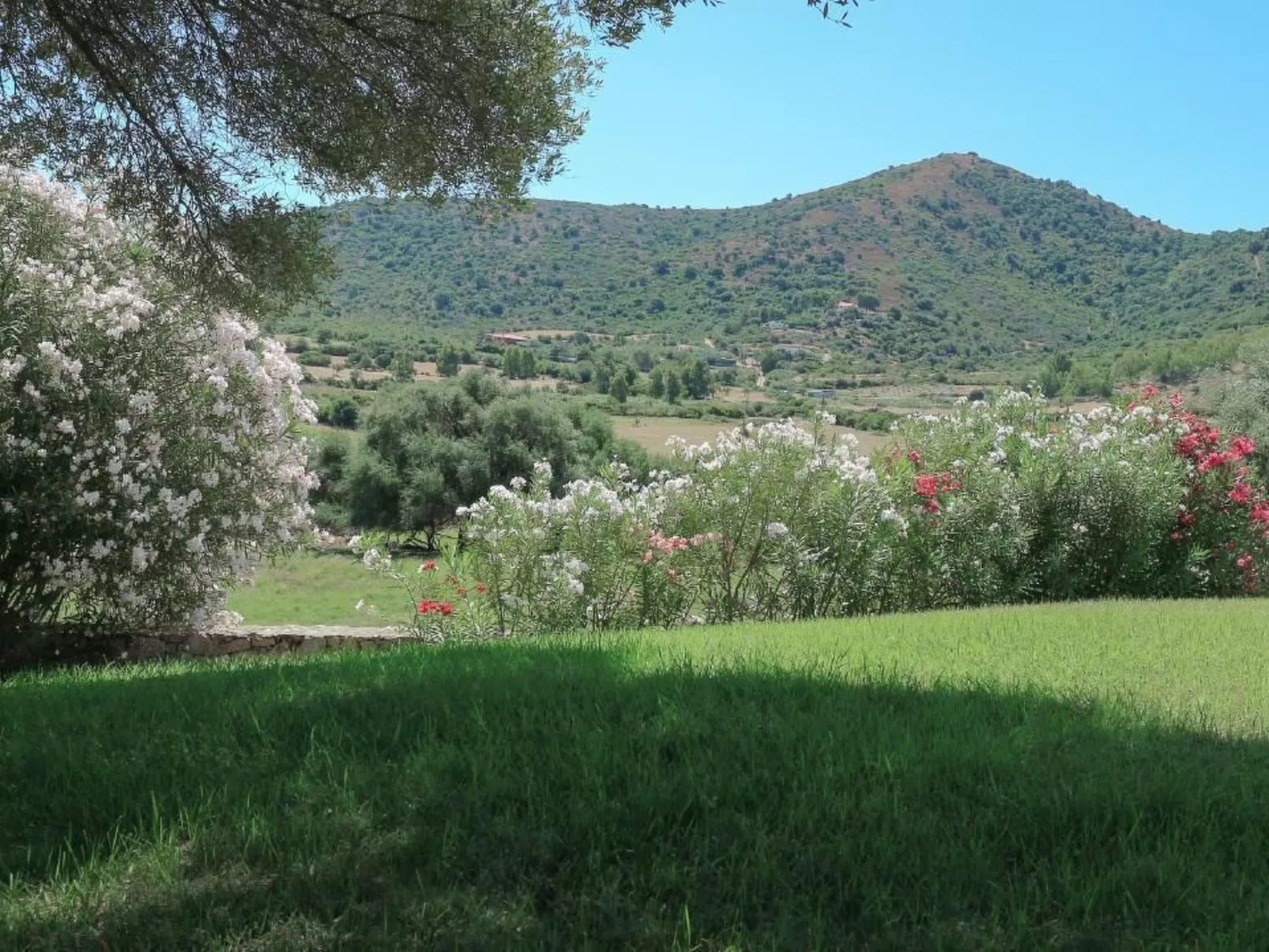 Wohnung "Rena" mit Meerblick-Buiten