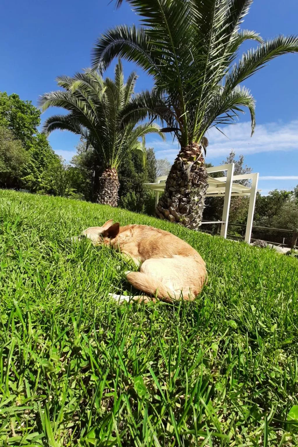 Bauernhauswohnung mit großer Terrasse-Buiten