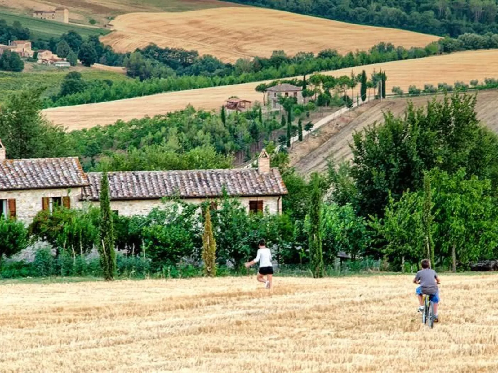 L'Ulivo-Image-tags.info