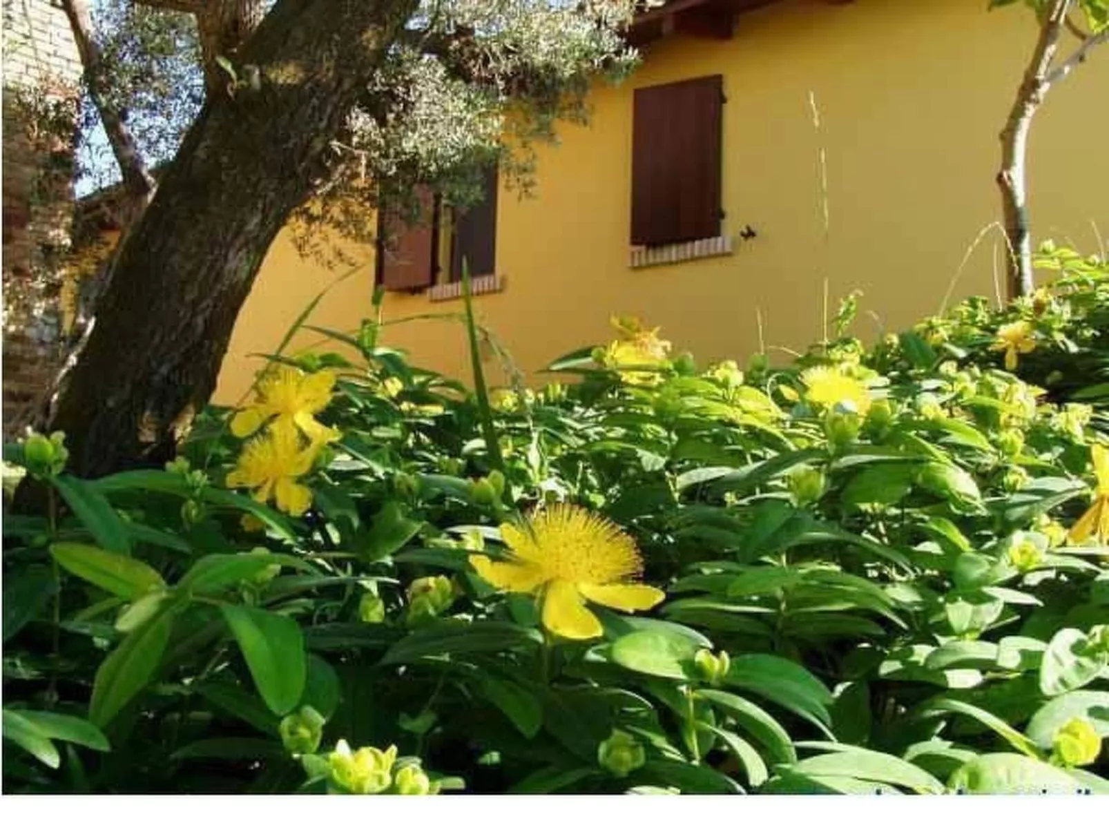 In Notaresco mit Grill und Garten-Buiten