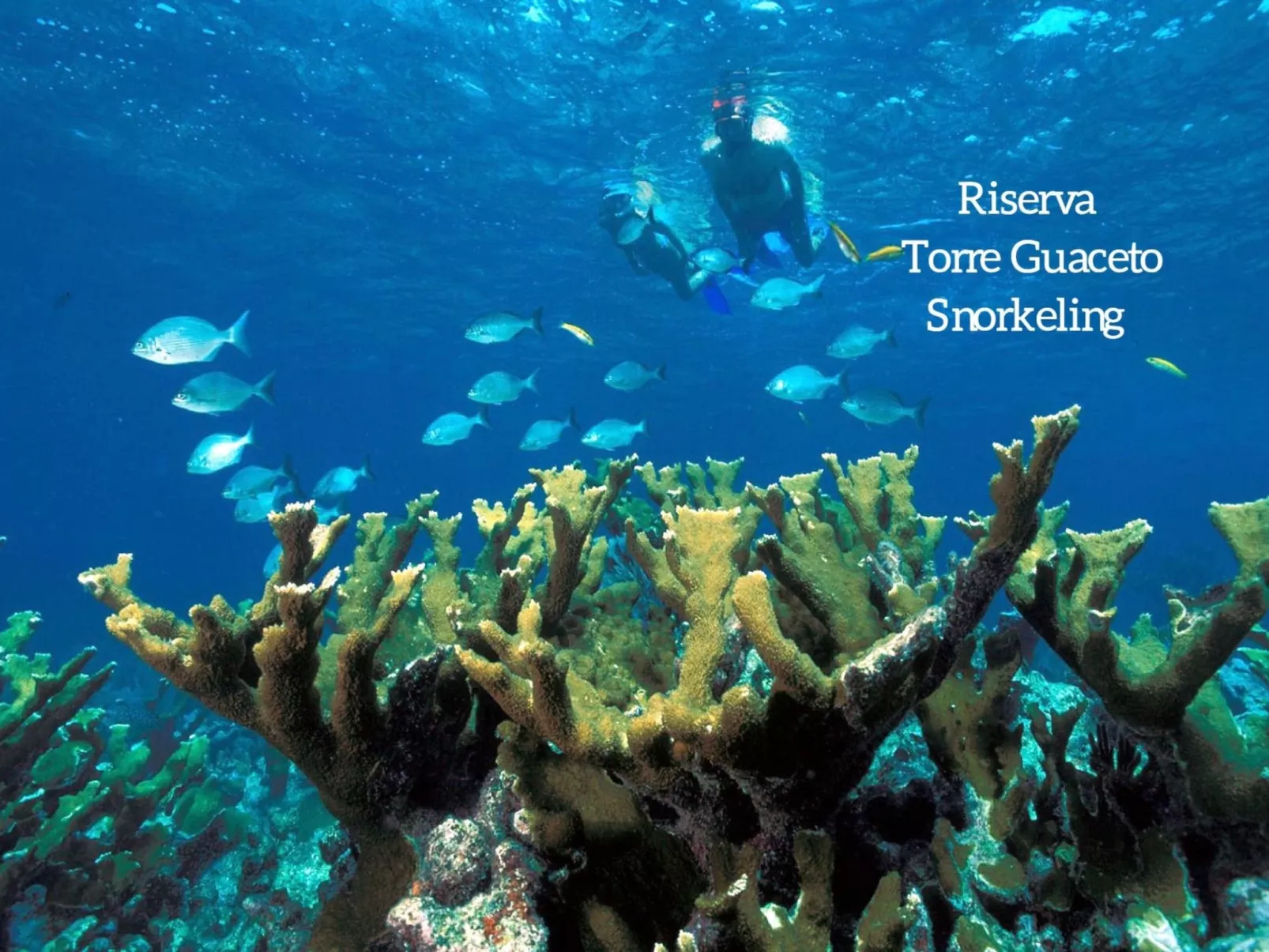 Borgo Marianna -  beheiztes schwimmbad-Image-tags.info